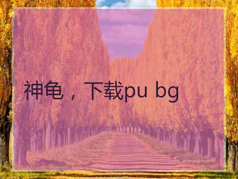 神龟，下载pu bg