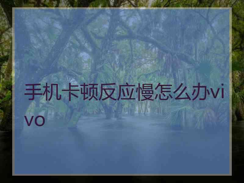 手机卡顿反应慢怎么办vivo