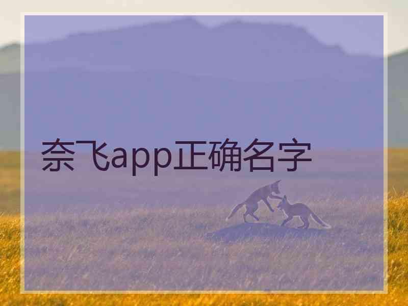 奈飞app正确名字