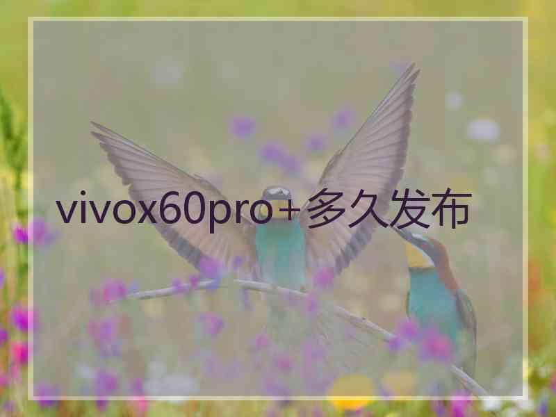 vivox60pro+多久发布