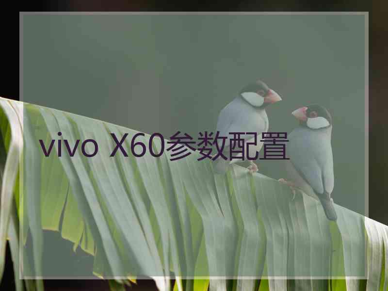 vivo X60参数配置