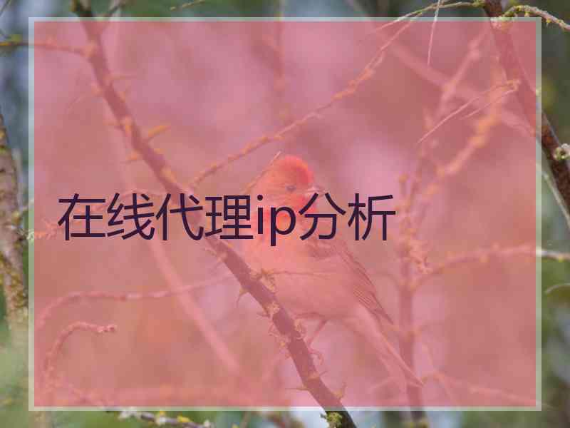 在线代理ip分析