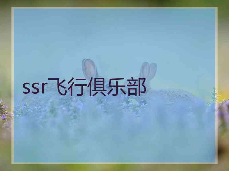 ssr飞行俱乐部