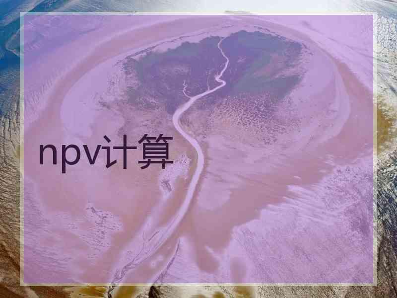 npv计算