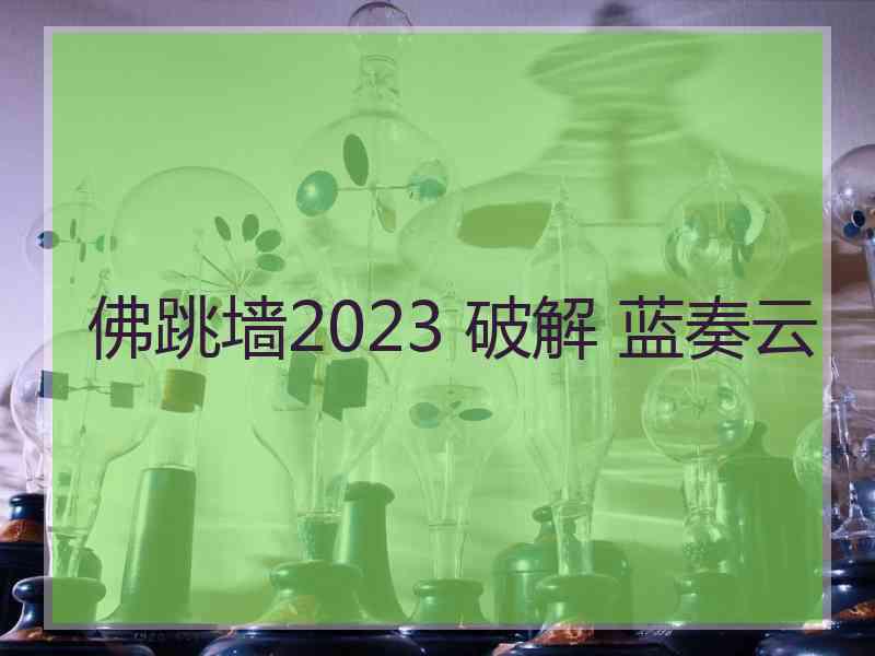 佛跳墙2023 破解 蓝奏云