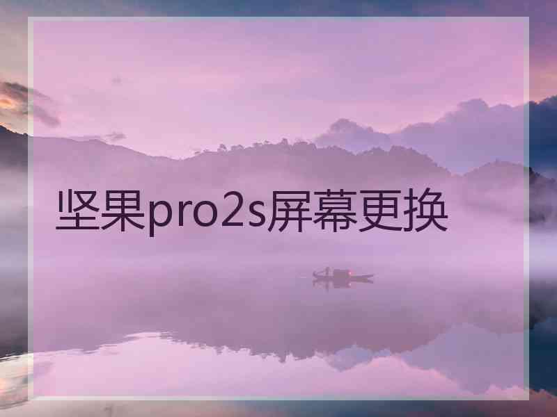 坚果pro2s屏幕更换