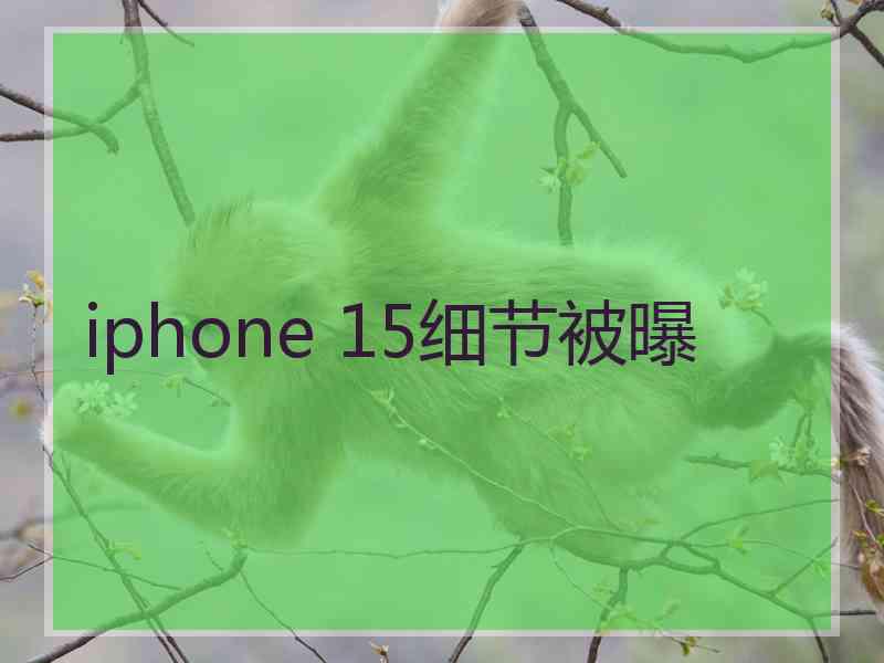 iphone 15细节被曝