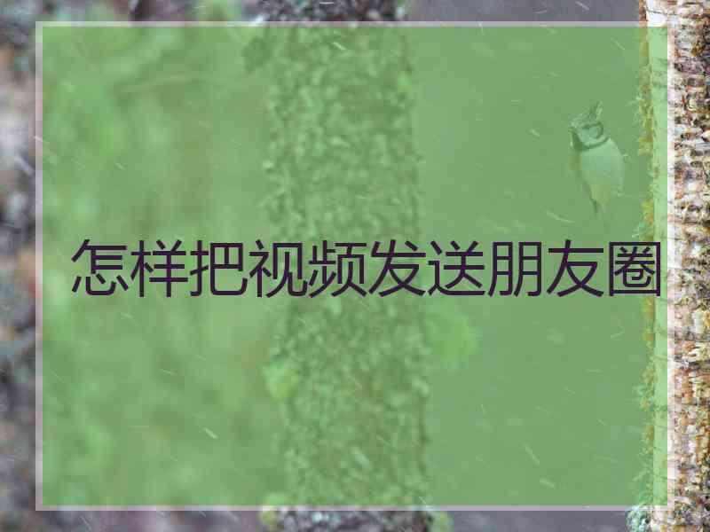 怎样把视频发送朋友圈