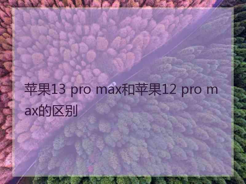 苹果13 pro max和苹果12 pro max的区别