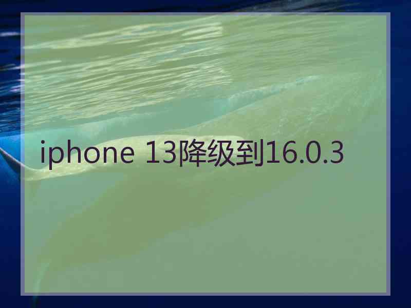 iphone 13降级到16.0.3