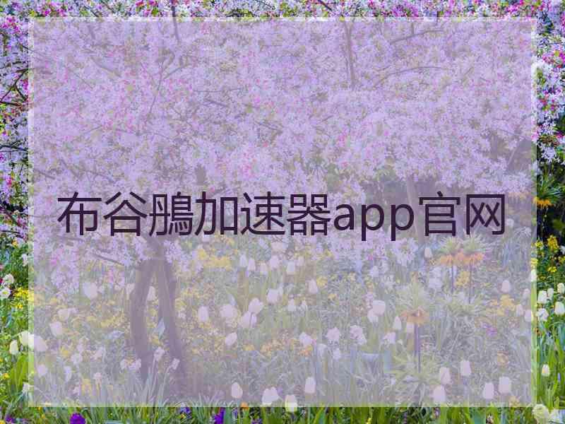 布谷鴅加速器app官网