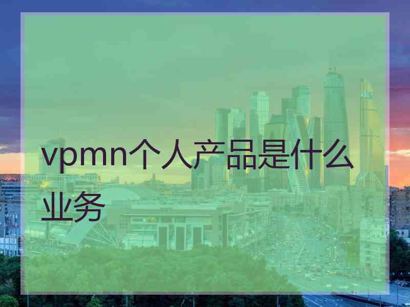 vpmn个人产品是什么业务