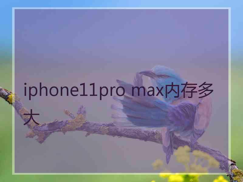 iphone11pro max内存多大