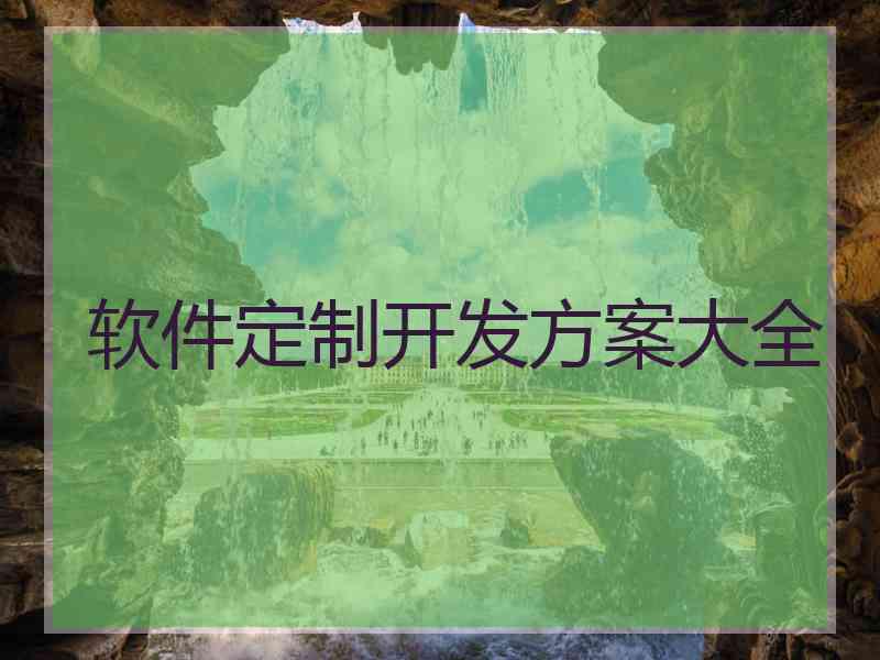 软件定制开发方案大全