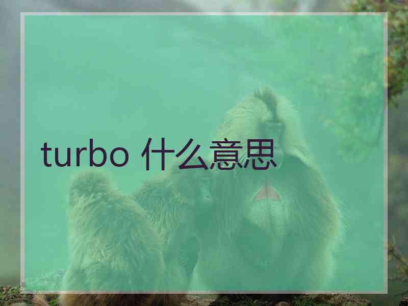 turbo 什么意思