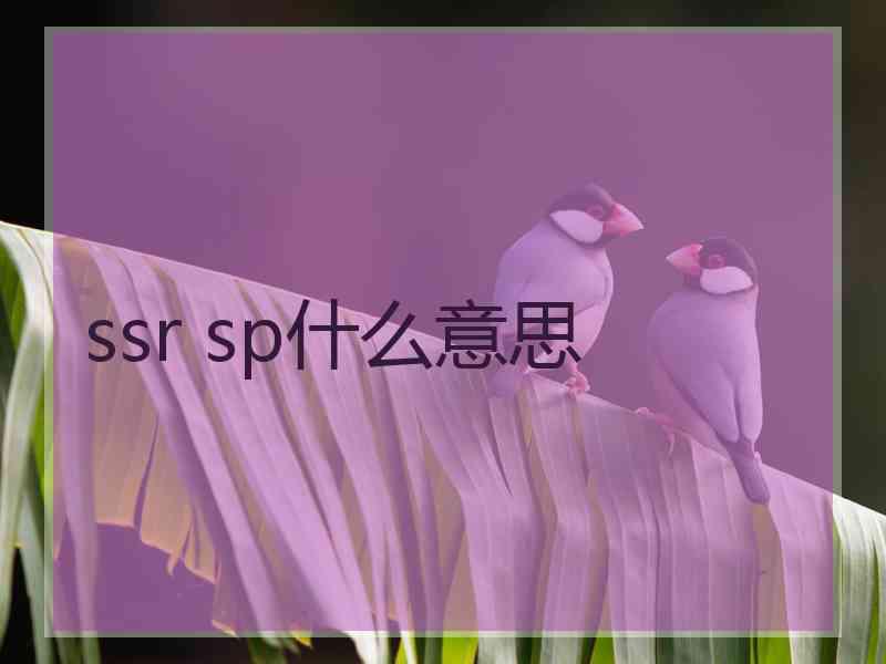 ssr sp什么意思