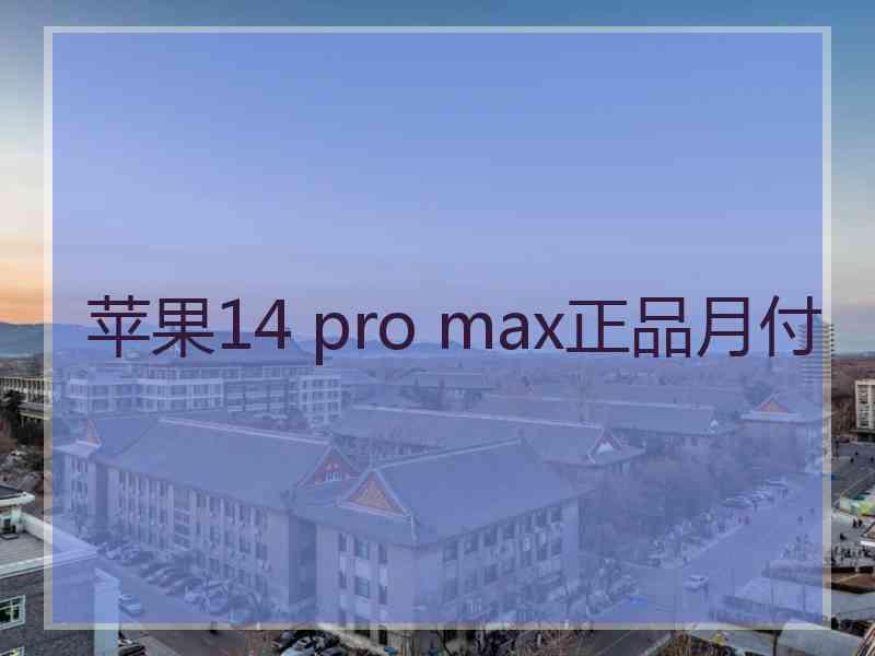 苹果14 pro max正品月付