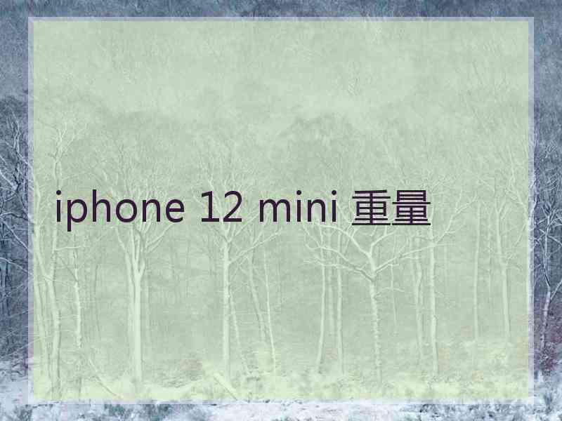 iphone 12 mini 重量