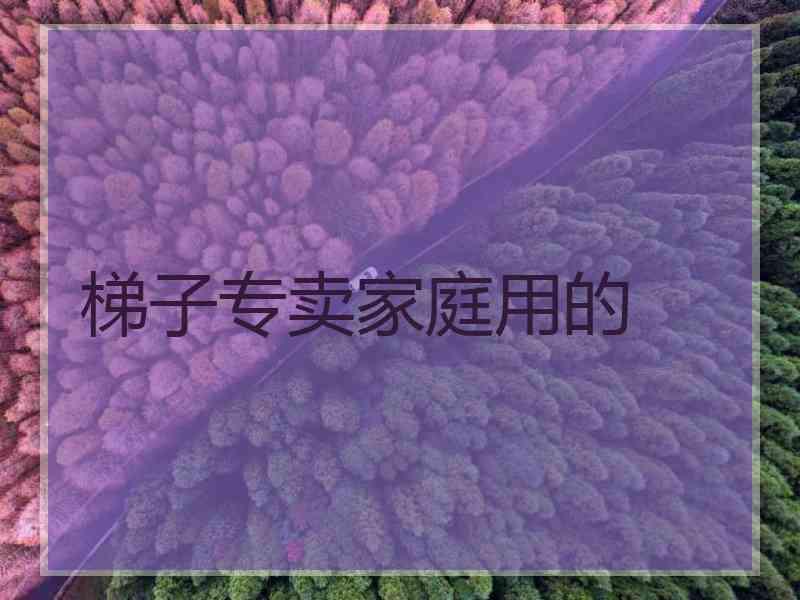 梯子专卖家庭用的