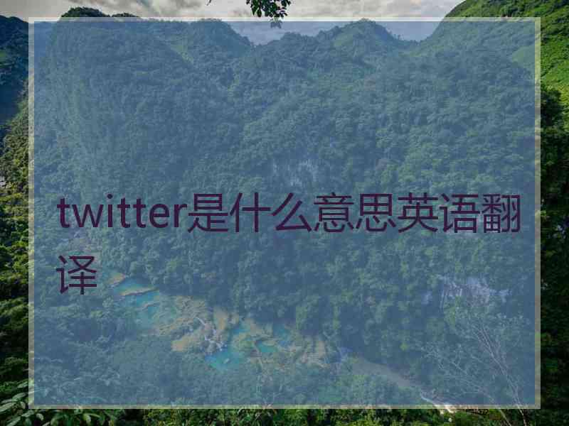 twitter是什么意思英语翻译