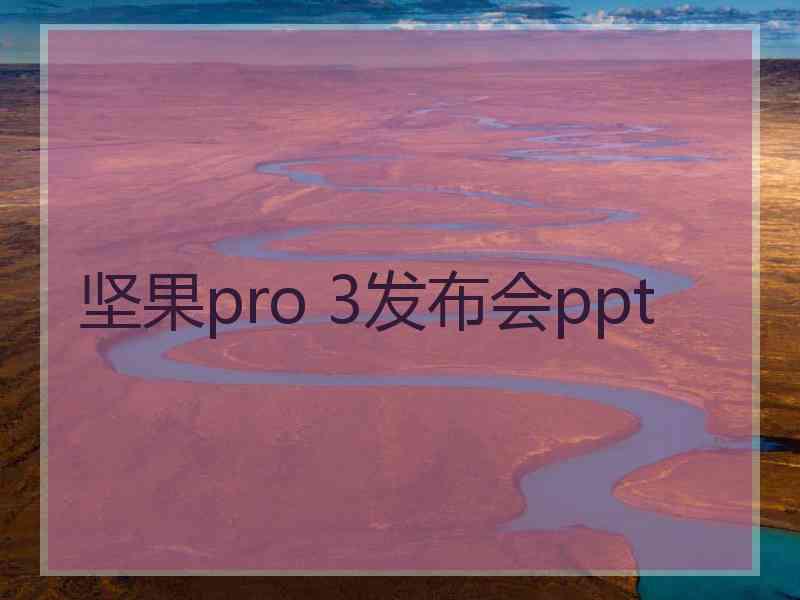 坚果pro 3发布会ppt