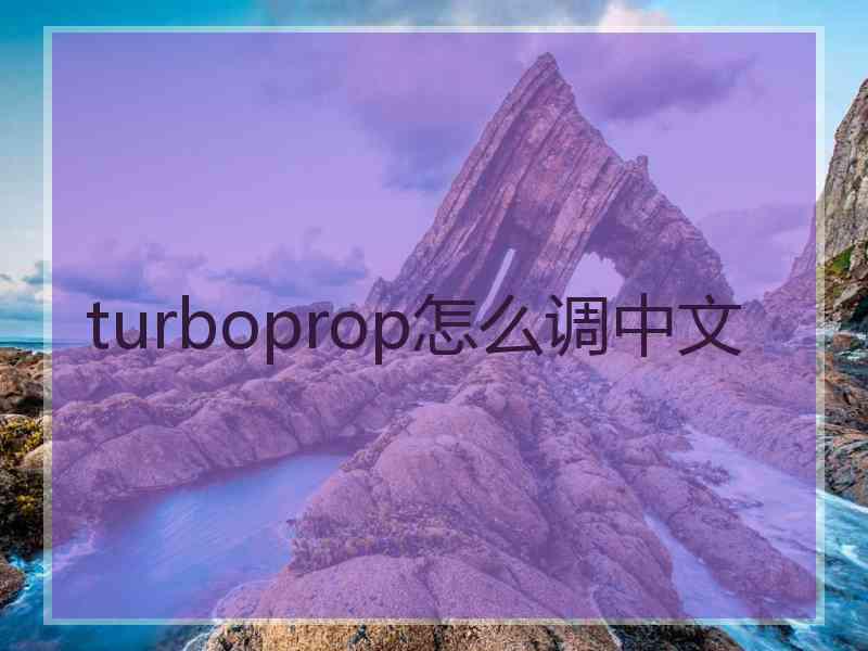 turboprop怎么调中文