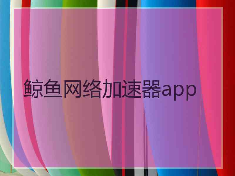 鲸鱼网络加速器app