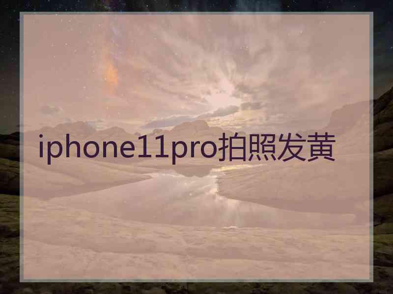 iphone11pro拍照发黄