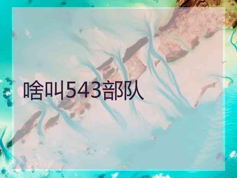 啥叫543部队