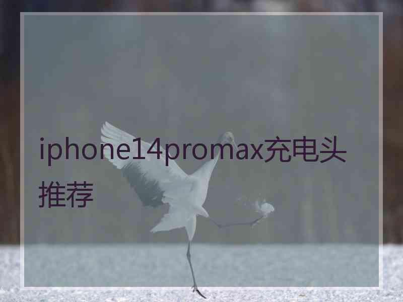 iphone14promax充电头推荐