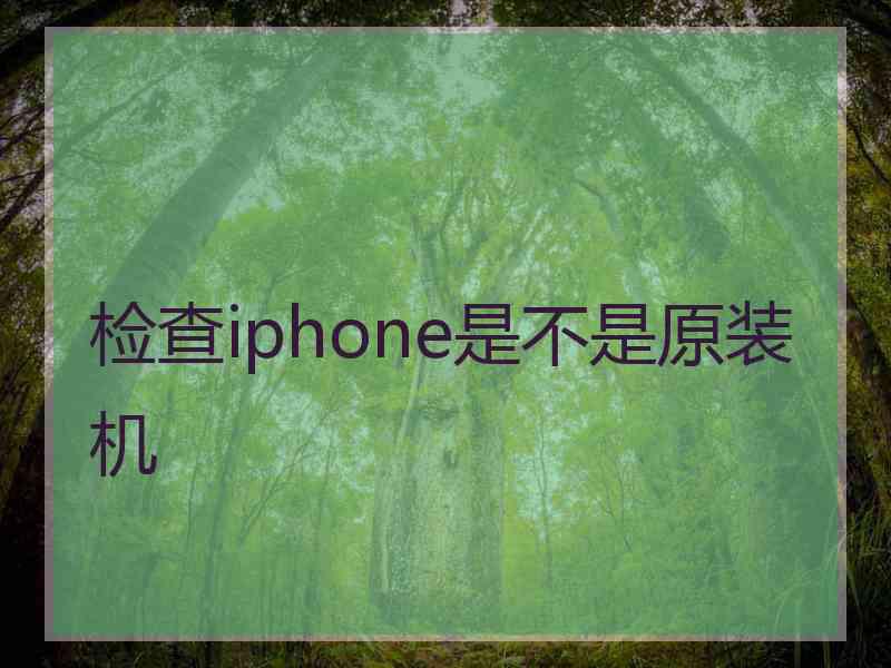 检查iphone是不是原装机