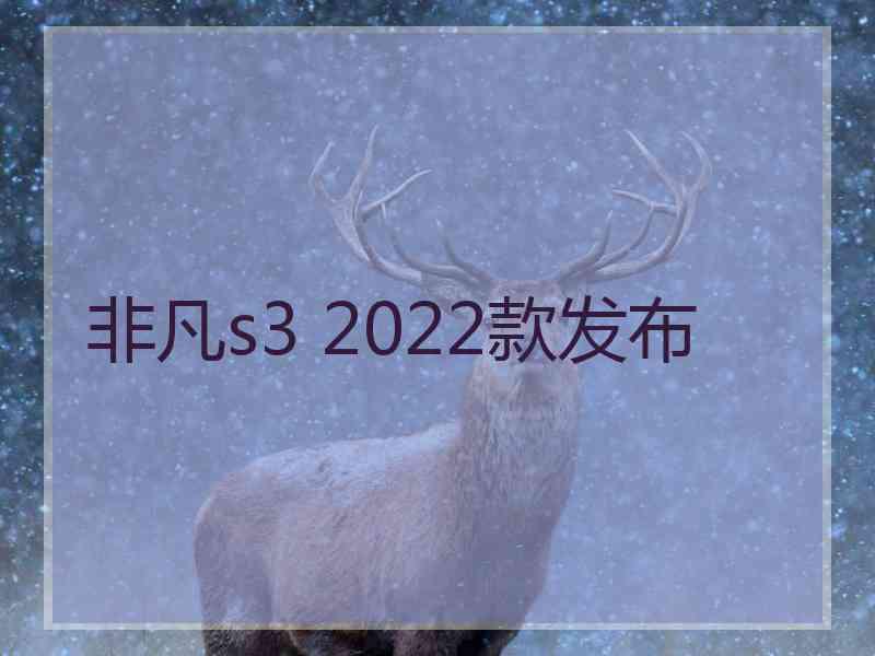 非凡s3 2022款发布