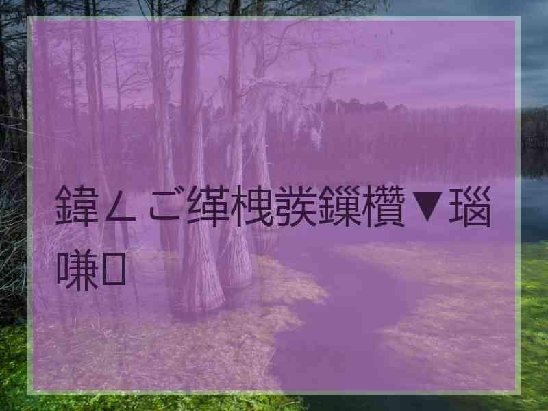 鍏ㄥご缂栧彂鏁欑▼瑙嗛