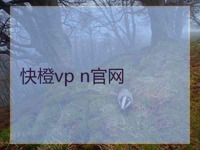 快橙vp n官网