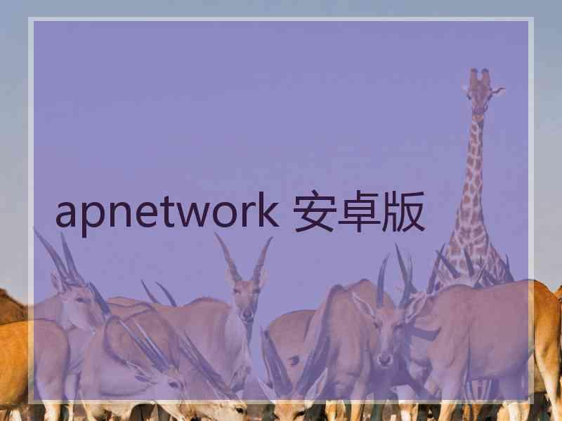 apnetwork 安卓版