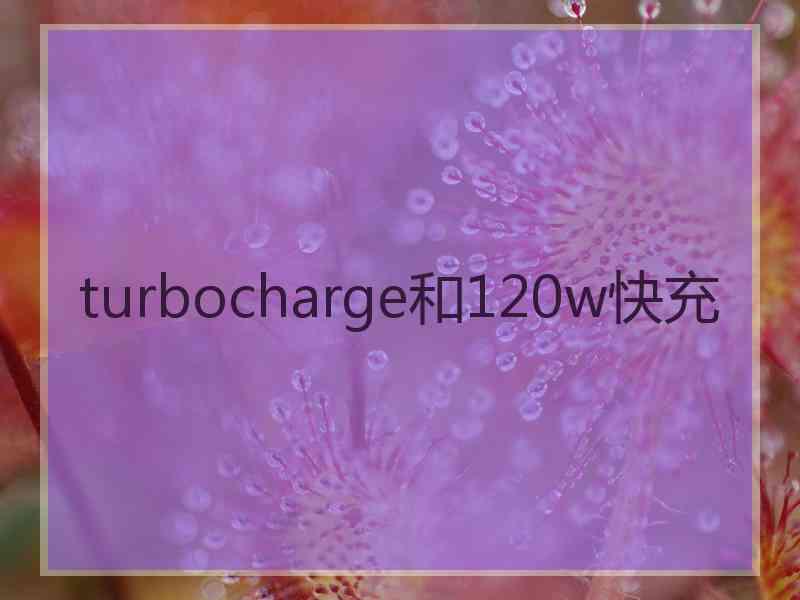 turbocharge和120w快充