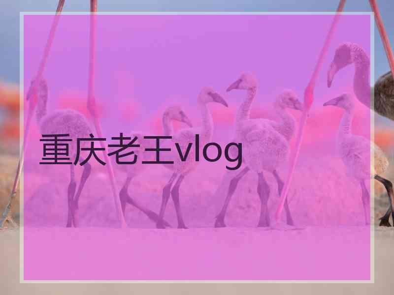 重庆老王vlog