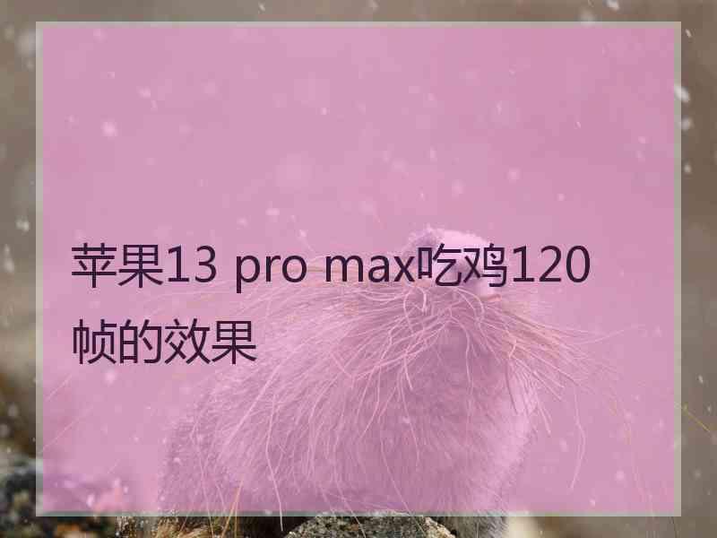 苹果13 pro max吃鸡120帧的效果