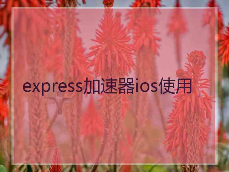 express加速器ios使用