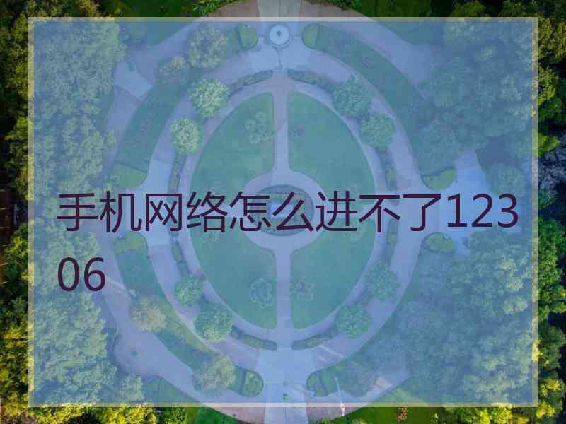 手机网络怎么进不了12306