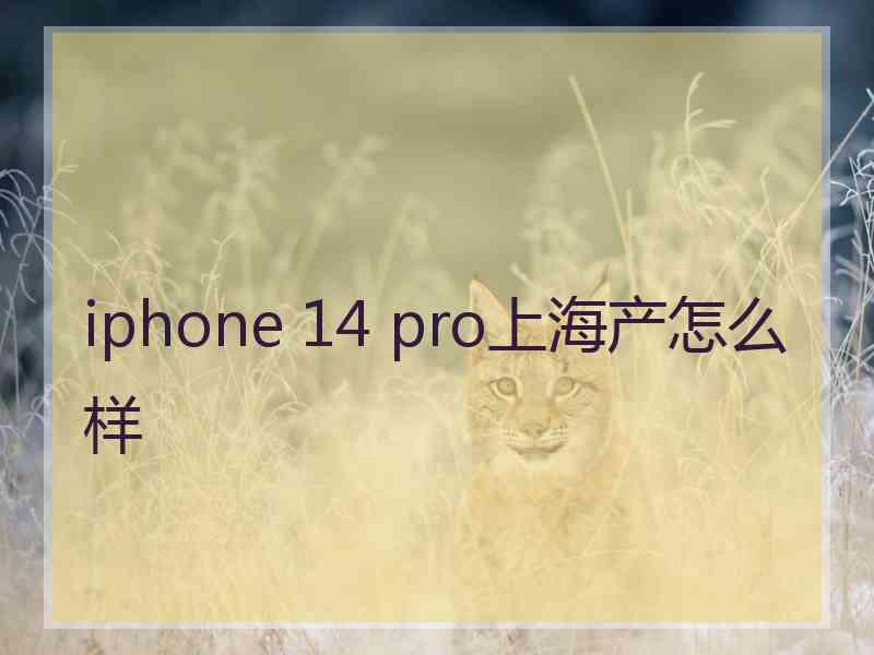 iphone 14 pro上海产怎么样