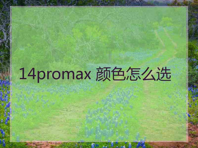 14promax 颜色怎么选