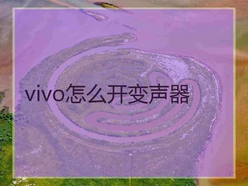 vivo怎么开变声器