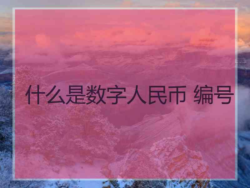 什么是数字人民币 编号