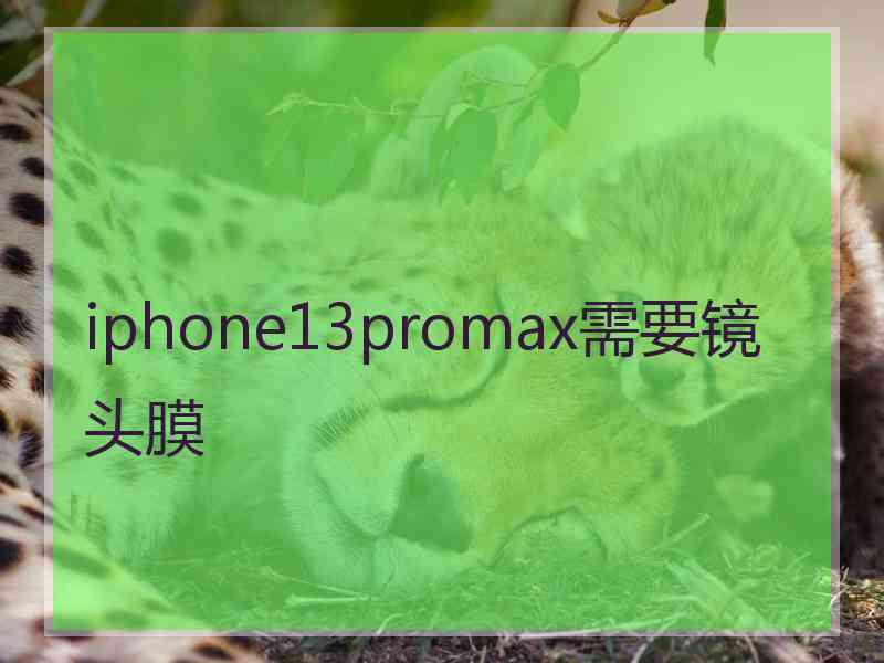 iphone13promax需要镜头膜