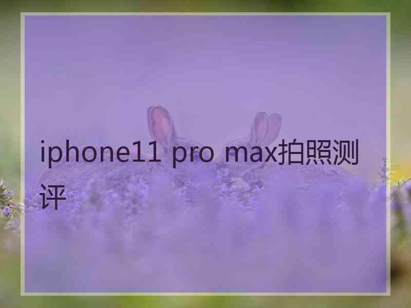 iphone11 pro max拍照测评