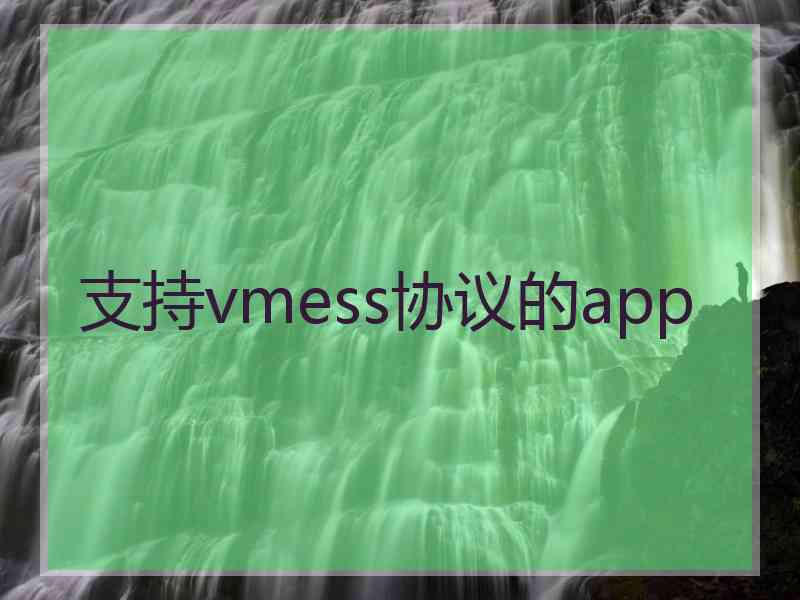 支持vmess协议的app