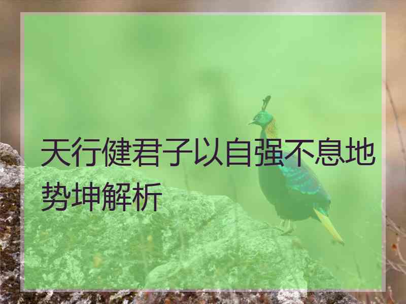 天行健君子以自强不息地势坤解析