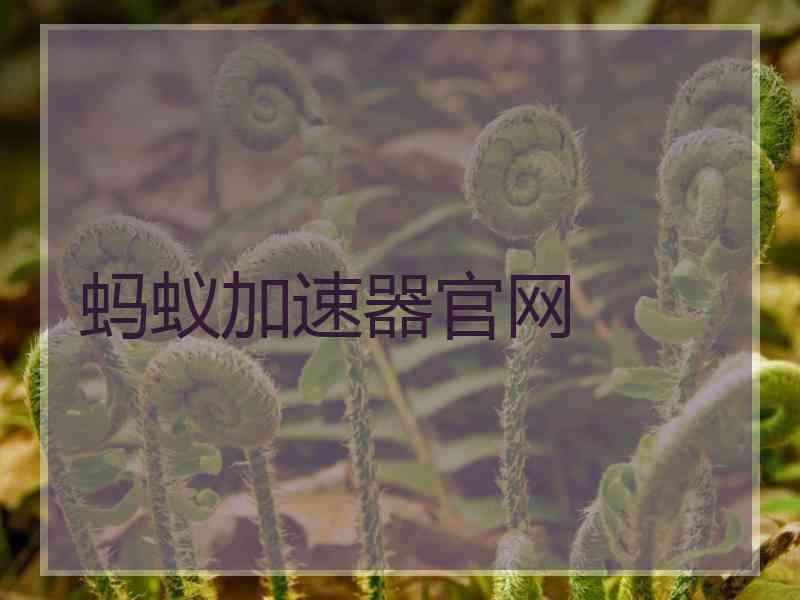 蚂蚁加速器官网