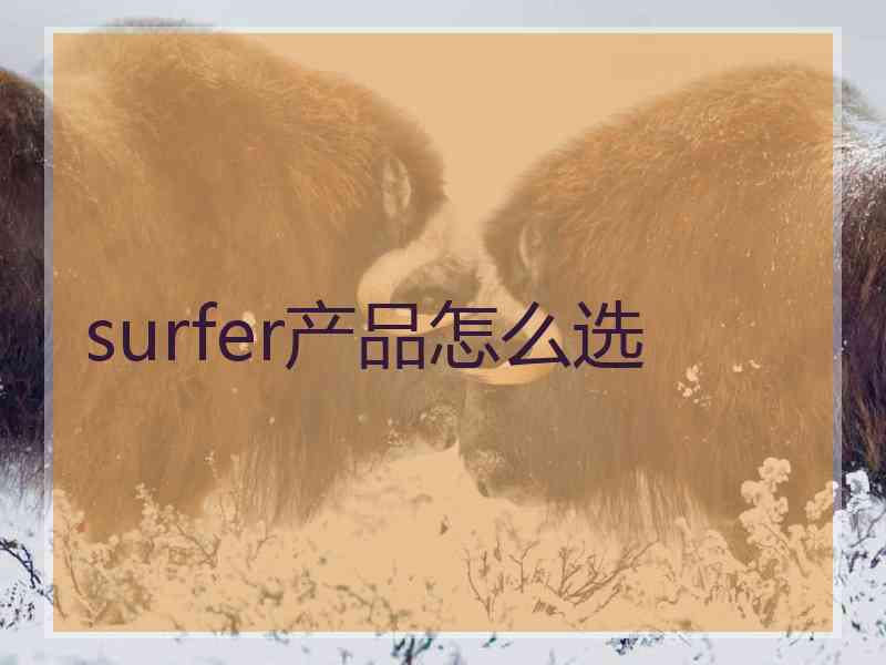 surfer产品怎么选